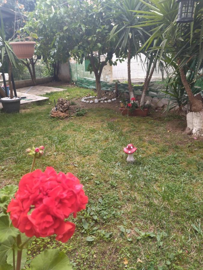 Sofis Garden Kavala Quarto foto